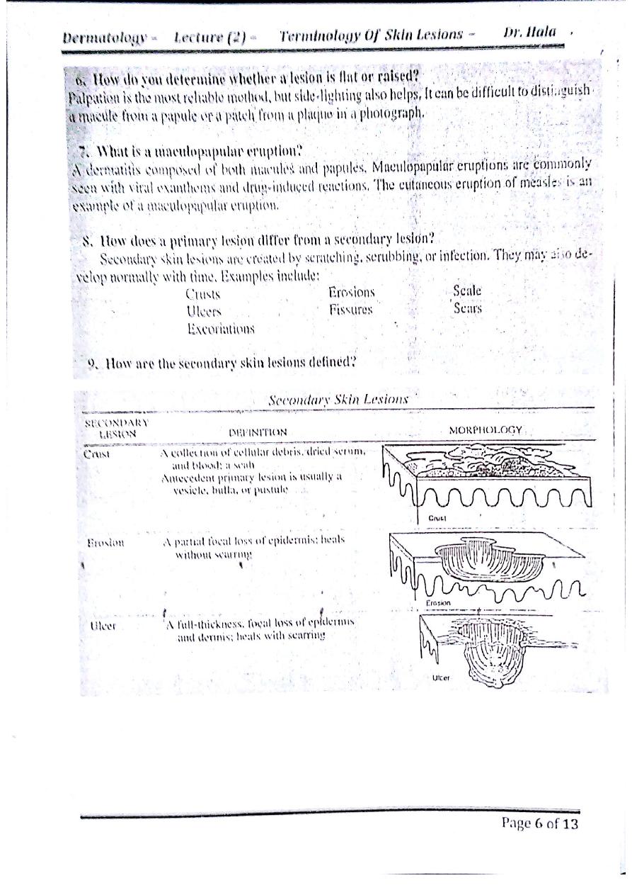 Terminology Of Skin Lesions Pdf Muhadharaty