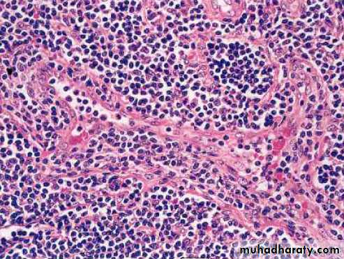 Lympho Reticular System pptx - د.ندوى - Muhadharaty