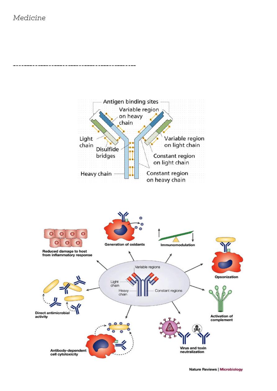 C-ARSCC-2208 Pdf Files