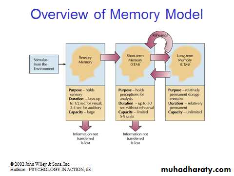 memory docx - د. الهام الجماس - Muhadharaty