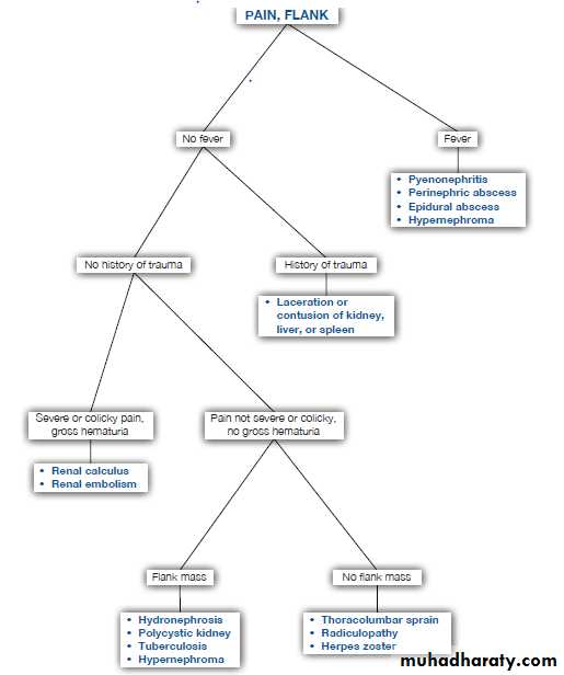 approach to renal disease pptx - د-عبد الله - Muhadharaty