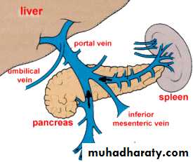 portal circulation with portosystemic shunt ppsx - RuQaYa FaLaH ...