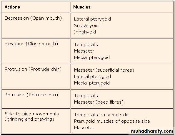 TMJ Myology pptx - Dr.Salwan - Muhadharaty