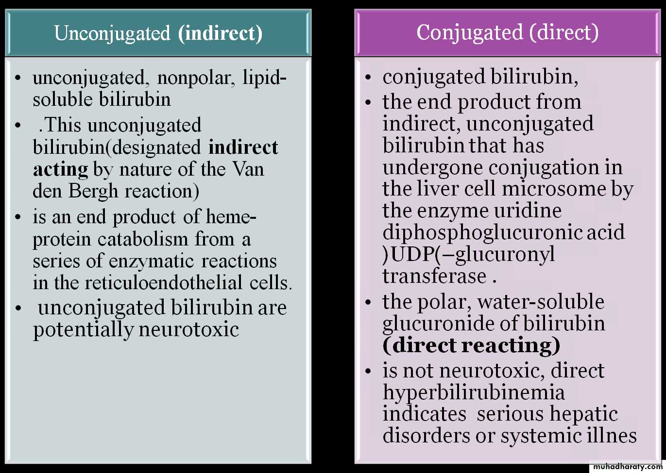 Direct Vs Indirect Hyperbilirubinemia