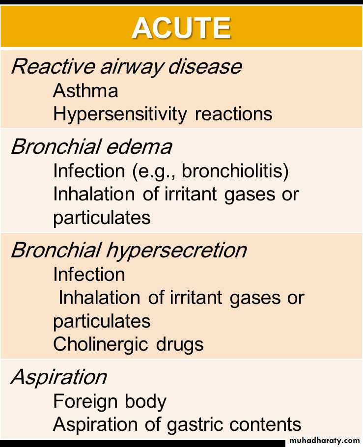 lower airway diseases docx - د. اثل - Muhadharaty