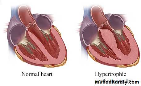 Cardiovascular system CVS docx - د.جاسم محمد طيب - Muhadharaty