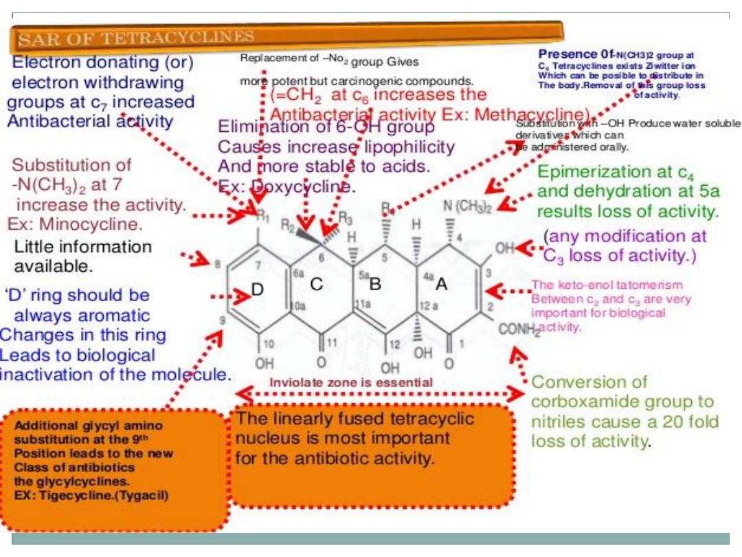 Aminoglycosides Pdf - د.شاكر - Muhadharaty