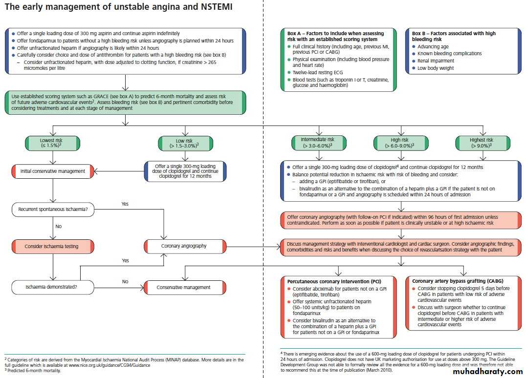 BMJ Learning pptx - د. حسين محمد جمعة - Muhadharaty