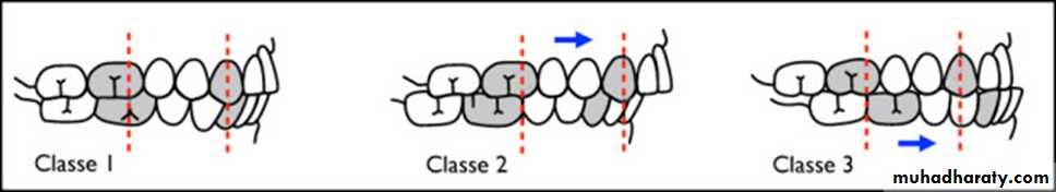 OCCLUSION-Face-bow pptx - Dr. Salah - Muhadharaty