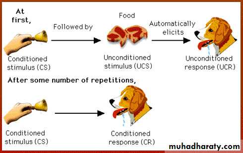 Learning pptx - Dr. Nesif - Muhadharaty