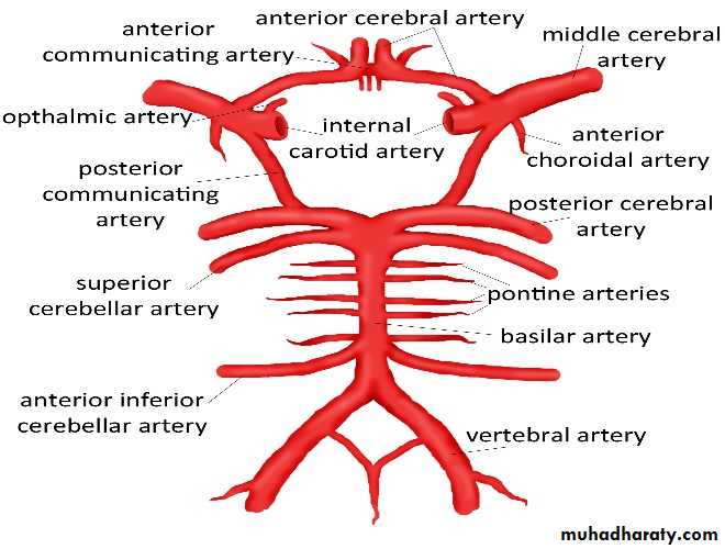 Stroke docx - د. محمد الشيخ عيسى - Muhadharaty