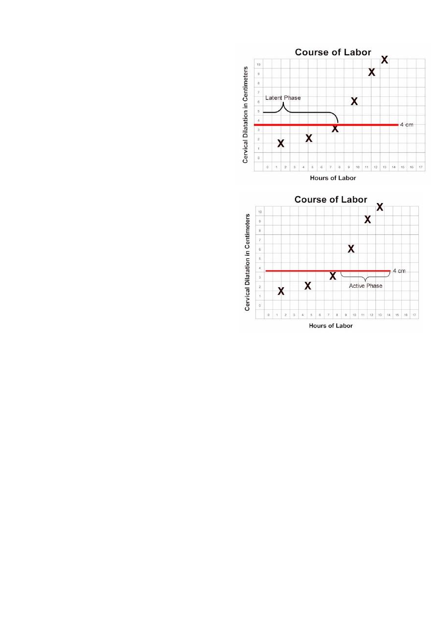 7 Labor And Delivery Pdf د أسيل Muhadharaty