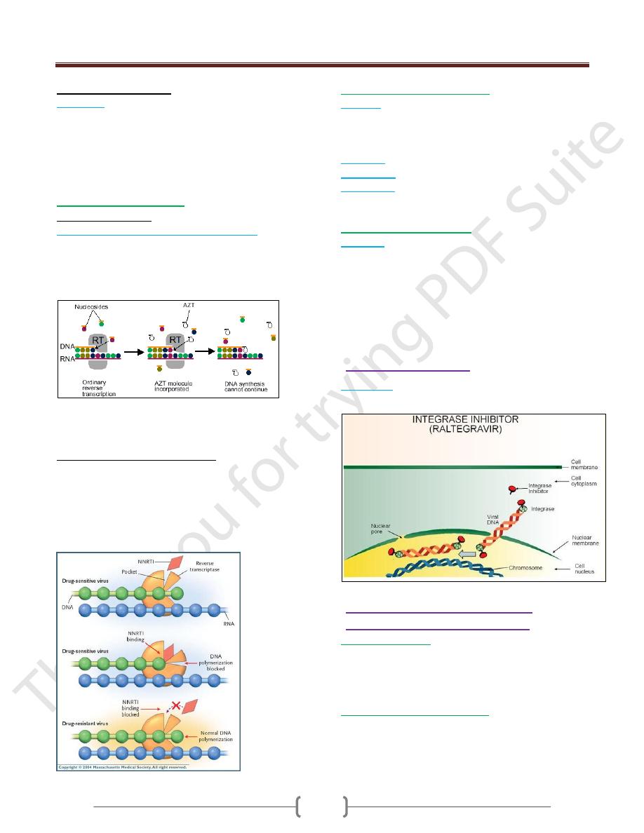 Antiviral Drugs pdf - Virology - Muhadharaty