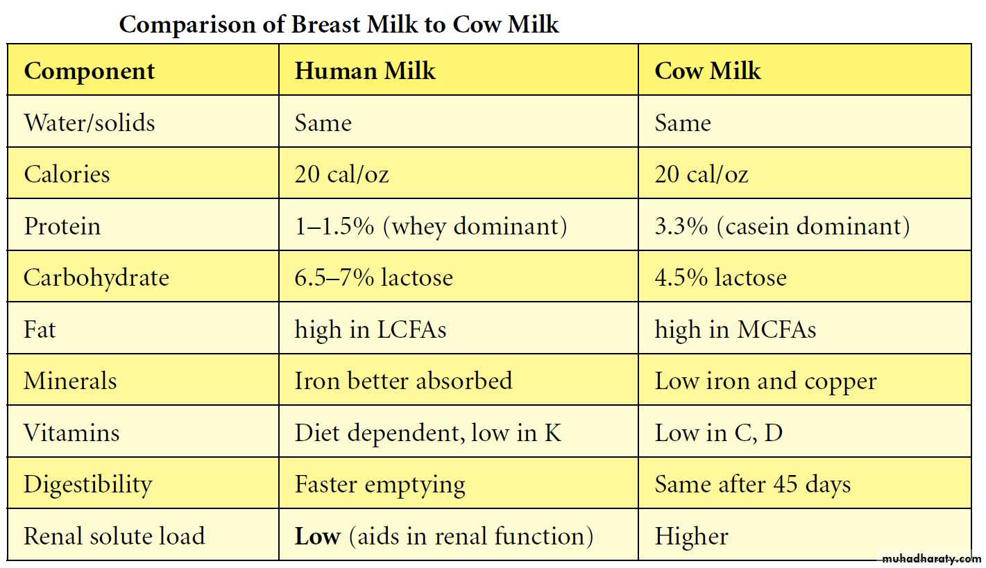 Infant Nutrition Pptx - د.ربيع - Muhadharaty