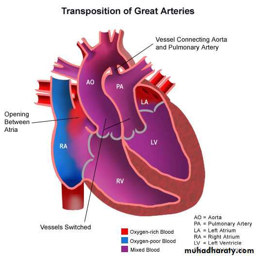 Chest Imaging pptx - Chest Imaging - Muhadharaty