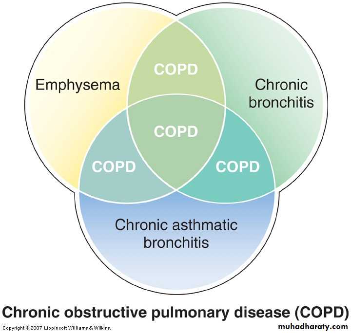 Respiratory system pptx - د. قسور - Muhadharaty