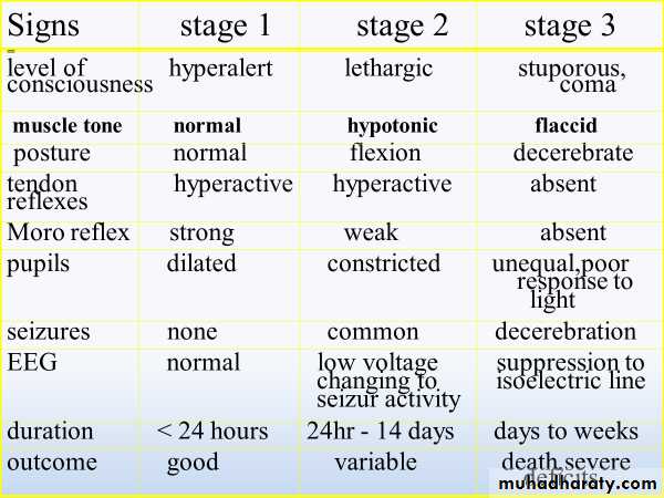 Birth Asphyxia docx - د.بسام - Muhadharaty