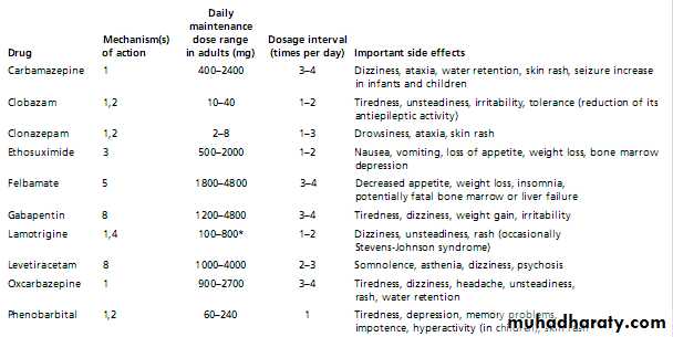 epilepsy docx - د.بشار - Muhadharaty