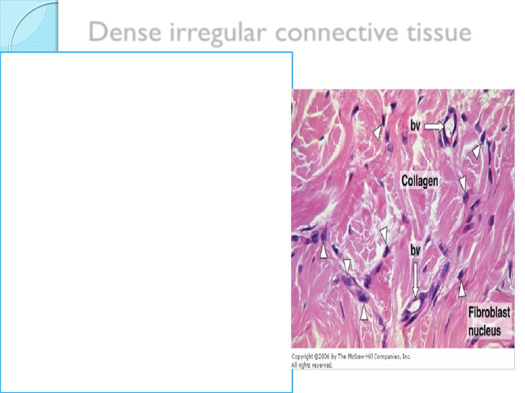 Connective Tissue pdf - د.ملاك الياور د.فردوس محمد د.هدى الخطيب د.زهراء ...