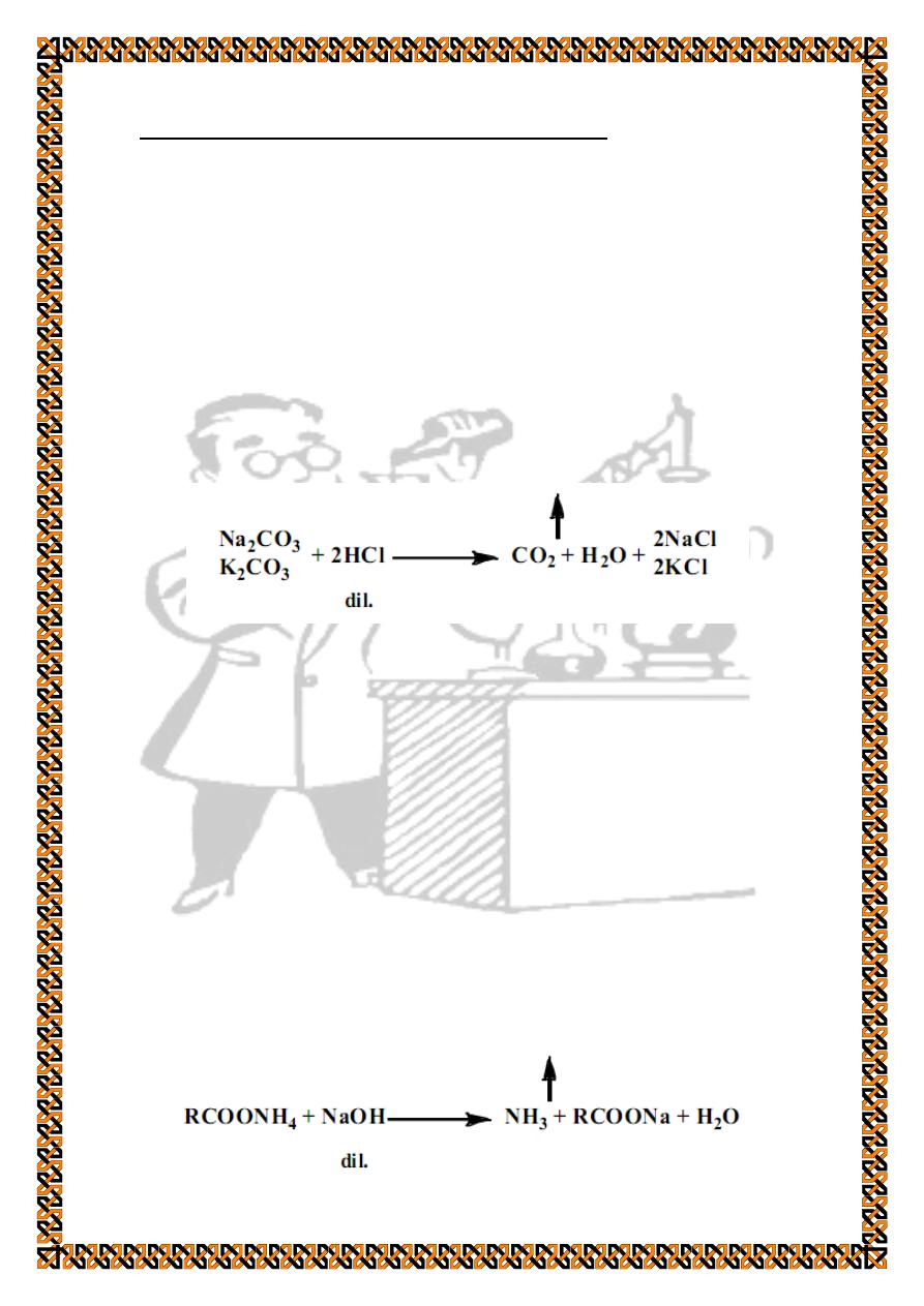 organic chemistry experiment pdf