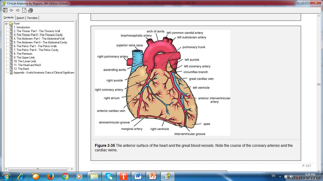 9: The Upper Limb