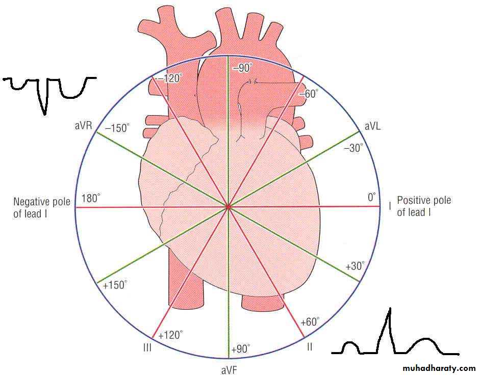 ECG pptx - عملي - Muhadharaty