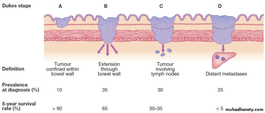 GIT and pancreas pptx - د. حسين محمد جمعة - Muhadharaty