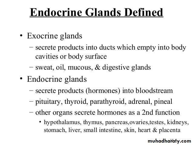 Hormones docx - د نوال - Muhadharaty