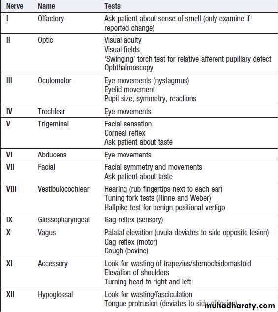 Neurological Disease Pptx - د. حسين محمد جمعة - Muhadharaty