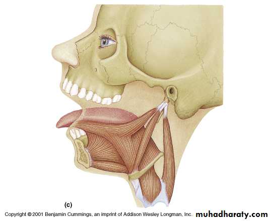 tongue prosthesis pptx - Dr.Munia - Muhadharaty