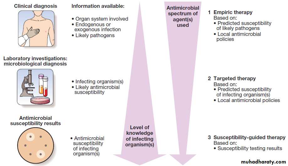 Principles Of Infectious Disease Pptx - د. حسين محمد جمعة - Muhadharaty