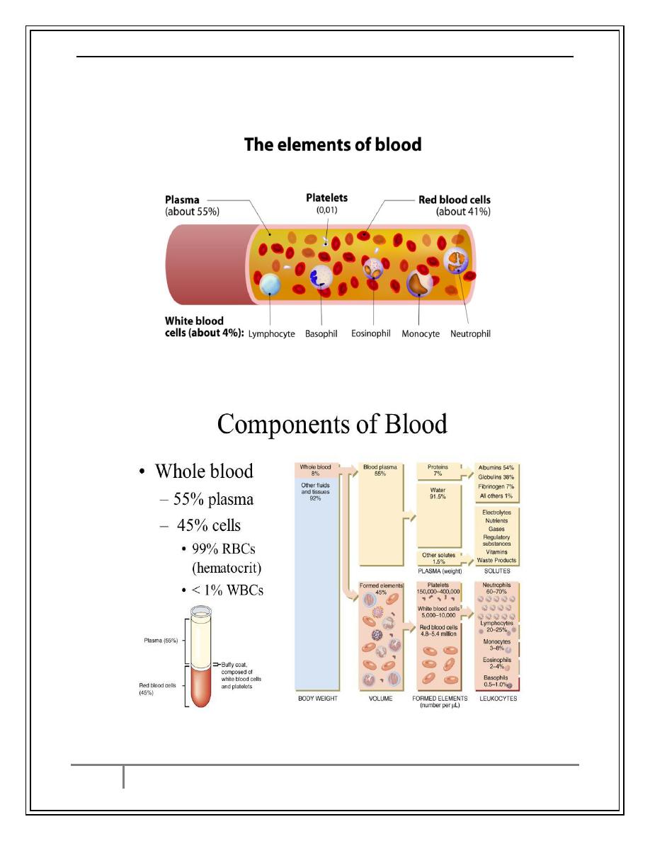 Introduction To Hematology Pdf - Ali M - Muhadharaty