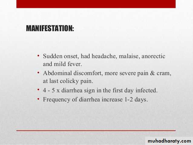 Shigellosis pptx - د.زينة - Muhadharaty