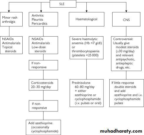 Management of SLE pptx - د. عباس طعمة - Muhadharaty