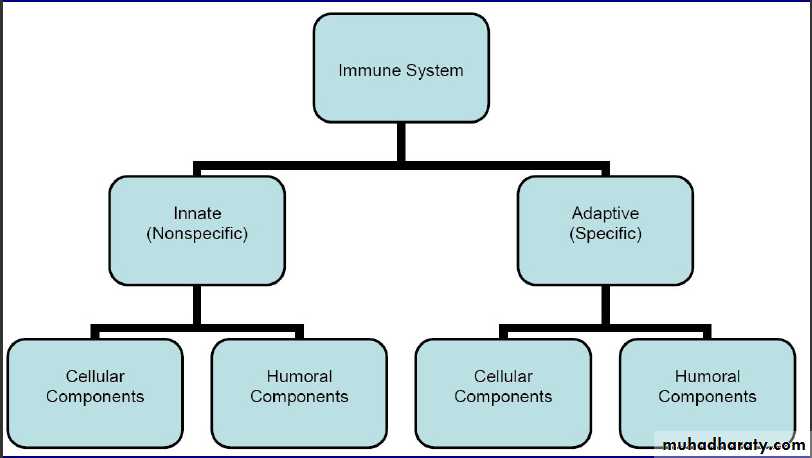 Immunology pptx - د.هدى ابراهيم - Muhadharaty