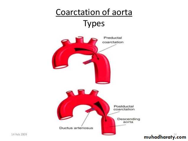 Cardiology pptx - D. Amin - Muhadharaty