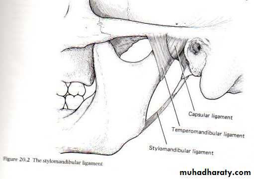 salivary gland pptx - د.لانا - Muhadharaty