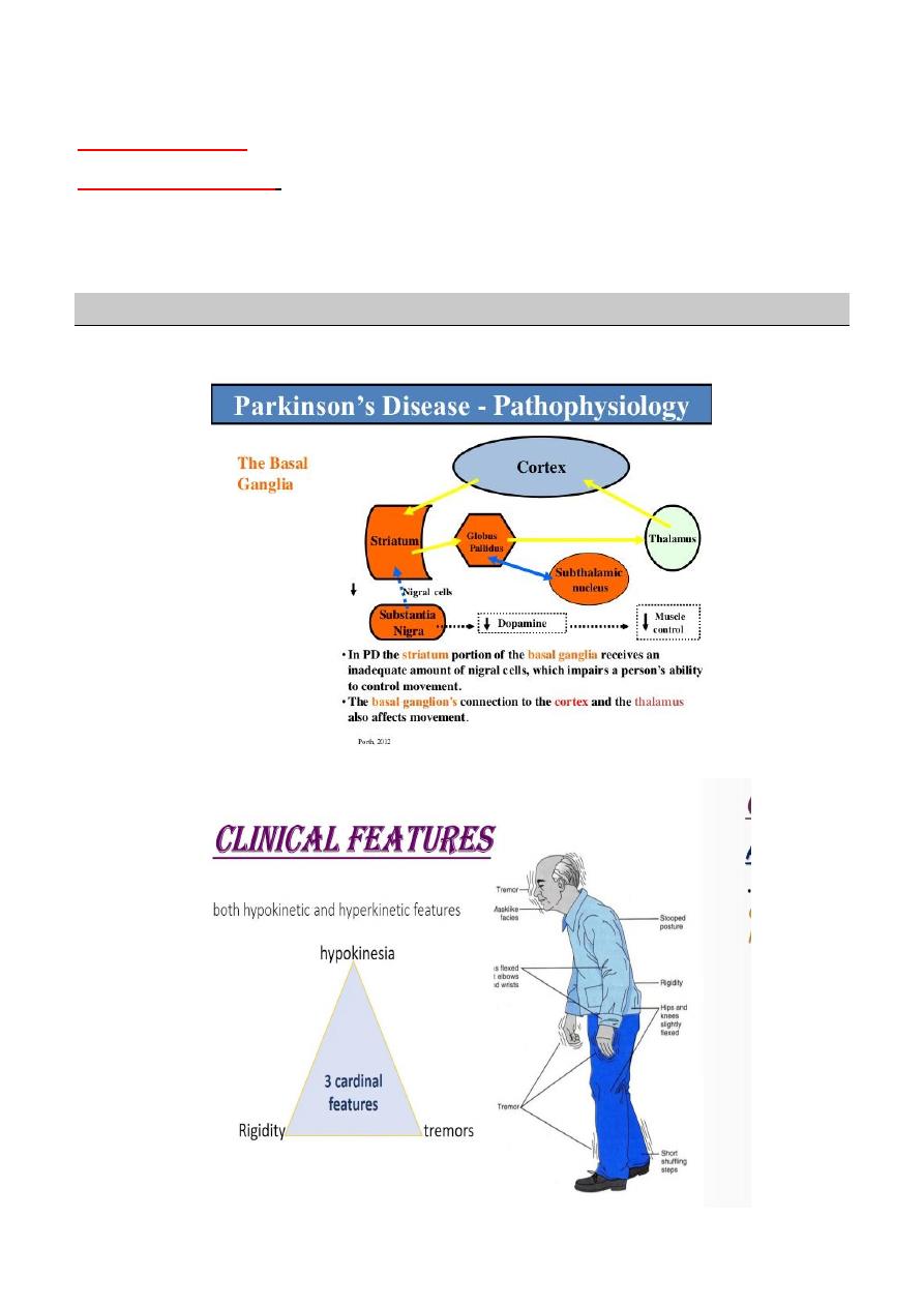 Parkinson Pdf D Hazim Muhadharaty