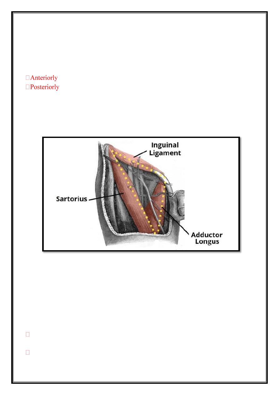 Areas Of Lower Limb Pdf - D. Khalid - Muhadharaty