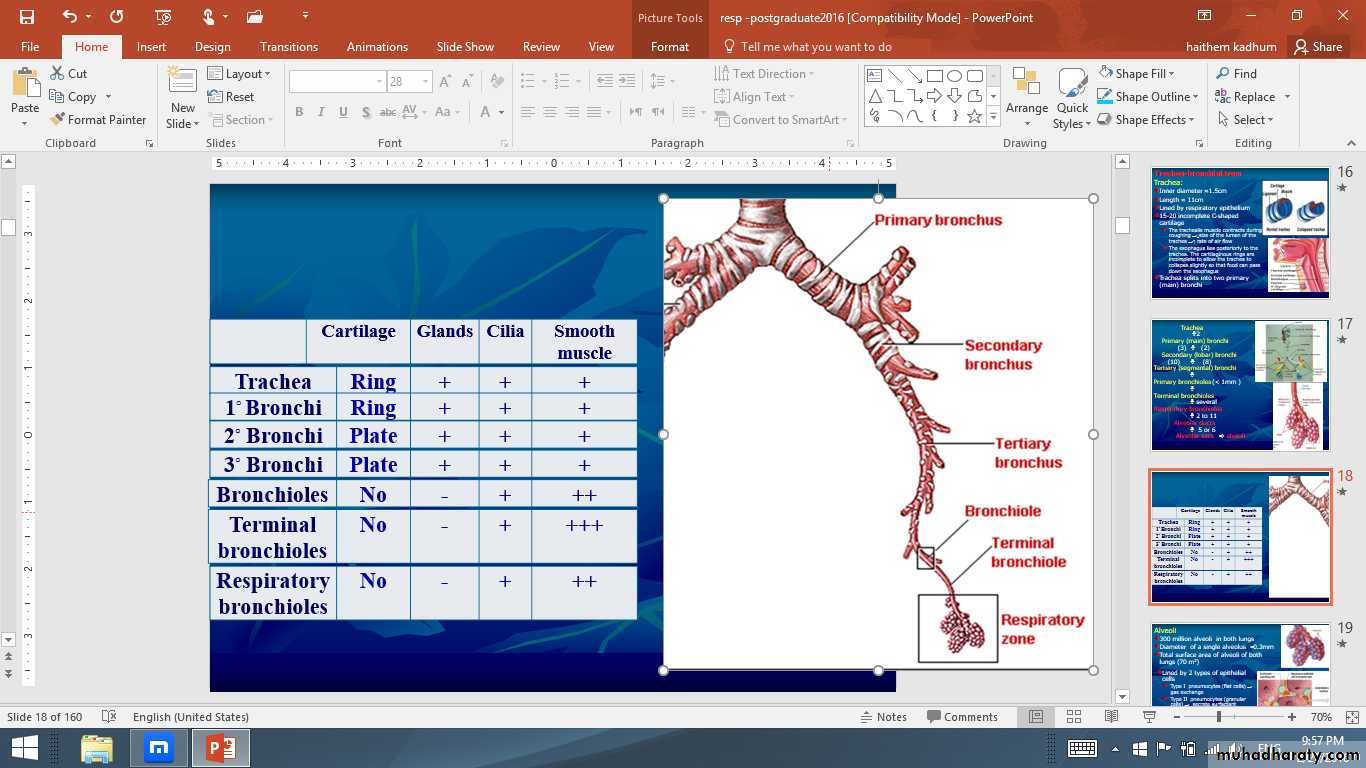 Respiratory Physiology pptx - D. Suroor - Muhadharaty