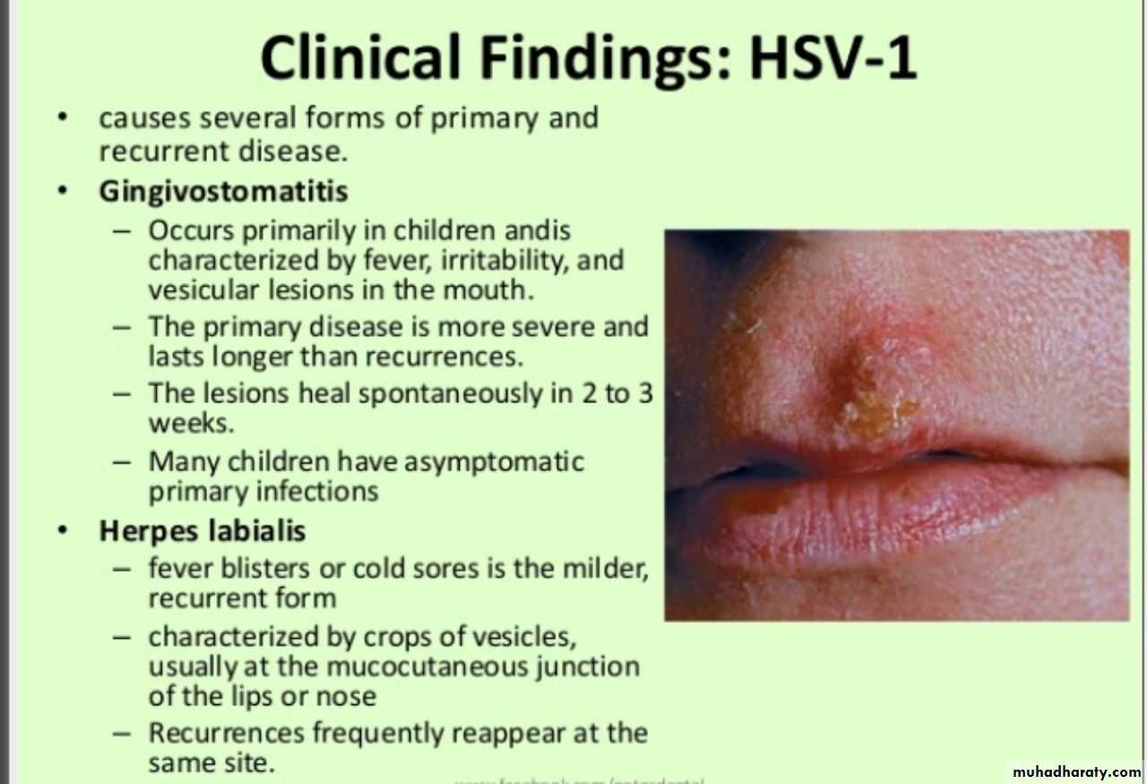 What is honeycomb herpes