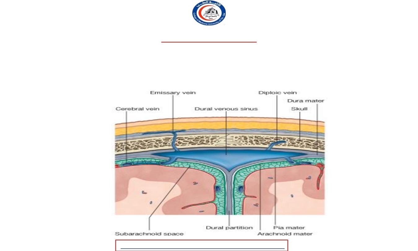 Blood supply of spinal cord pdf - D. Rafid - Muhadharaty