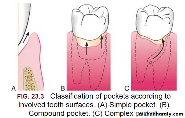 professional plaque control pptx - د.هدى - Muhadharaty